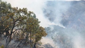 74 baro başkanından Dersim'deki orman yangınına ilişkin çağrı