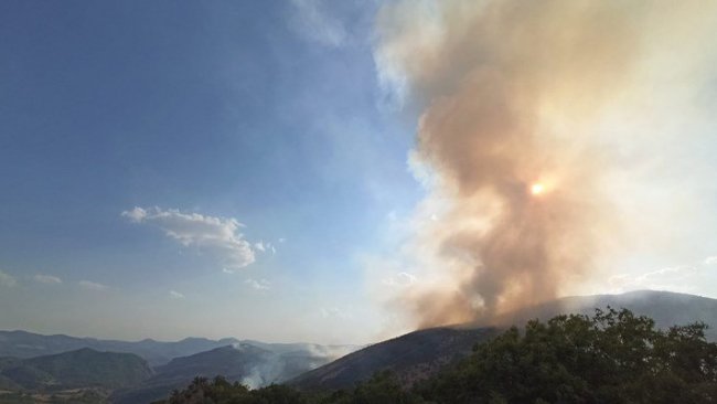 CHP heyeti Dersim'e gidiyor: 'Maçoğlu'nun yanında olacağız'