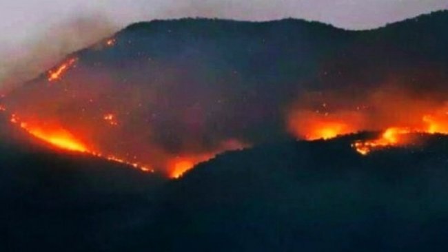 PAK: Türkiye Devleti Dersim ve Şırnak’ta yanan ormanlara kimsenin müdahale etmesine izin vermiyor