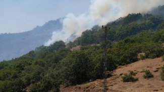 Bingöl ve Bitlis'te orman yangını