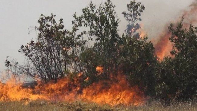 OGM'den Dersim ve Bingöl'deki yangınlara ilişkin açıklama