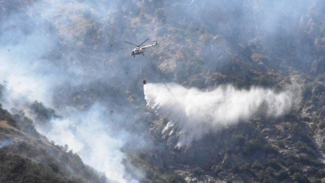 Bitlis’teki orman yangınında 40 hektar alan zarar gördü