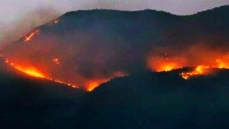 Türkiye Devleti Dersim ve Şırnak’ta yanan ormanlara kimsenin müdahale etmesine izin vermiyor