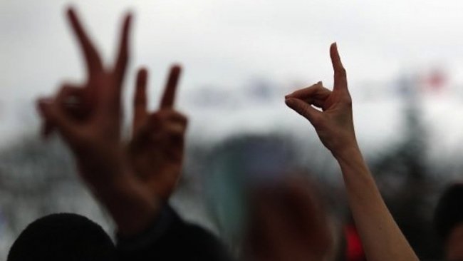 Alman Meclisi'nden 'Ülkücü Hareket' raporu: Anayasaya aykırı