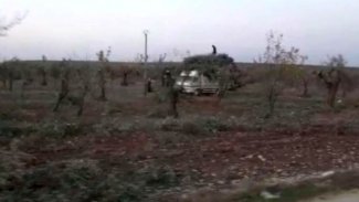 Efrîn'de 16 Kürt tutuklandı, yüzlerce zeytin ağacı kesildi