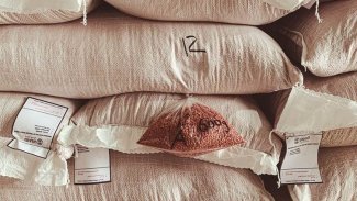 ABD: Rojava’ya gönderdiğimiz buğdayda hastalık yok