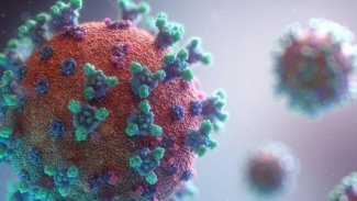 WHO: Omicron varyantı eşsiz bir hızda yayılıyor