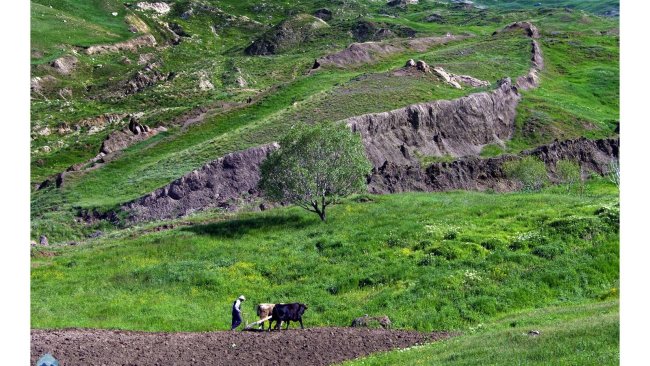 Nuh'un Gemisi'ne ait kalıntıların olduğu iddia edilen alanda çalışma