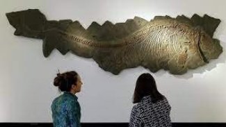 İngiltere’de heyecanlandıran keşif: Tam 180 milyon yaşında!