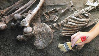 İnsanlık tarihinideğiştirecek keşif!