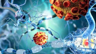 Japonya’da dünyanın ilk omurilik kök hücre nakli gerçekleştirildi