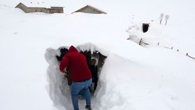 Muş’ta bir köy kara gömüldü, açtıkları tünellerle ulaşımı sağlıyorlar