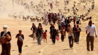 Ezdi Temsilci: 7 yıl geçmesine rağmen Bağdat hâlâ soykırımını tanımadı