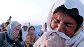 Şengal: Katledilen Ezidi Kürtlere ait 7 toplu mezar açılıyor