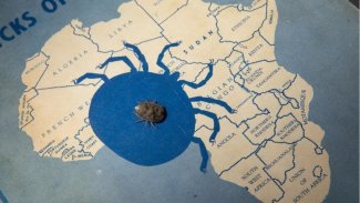 ''Hiçbir şey yemeden 8 yıl hayatta kalan canlı'' keşfedildi