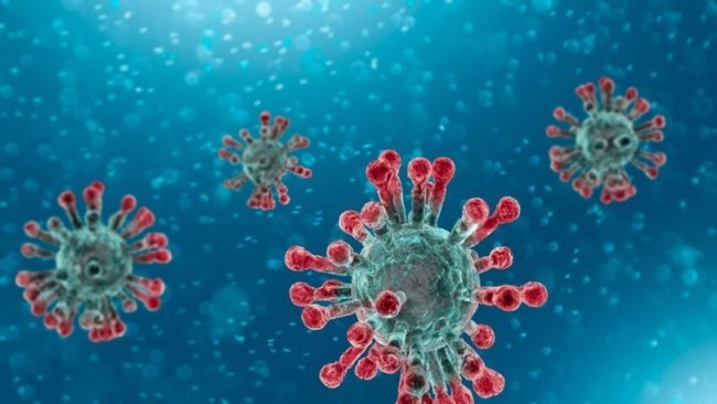 Lancet dergisi pandemiden ölenlerin sayısını açıkladı: Korkunç rakamlar!
