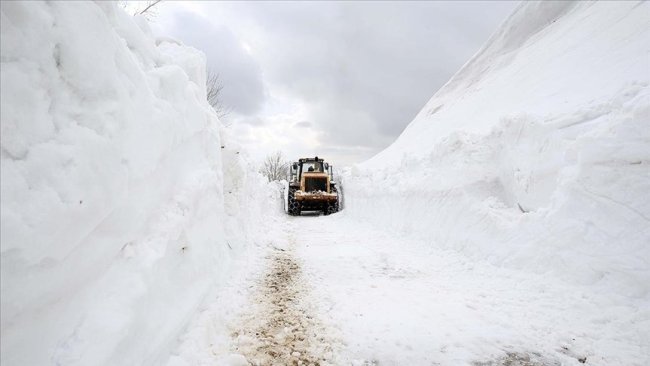 Van, Muş, Bitlis ve Hakkari'de 172 yerleşimin yolu kardan kapandı