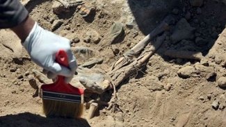 Şengal’de yeni toplu mezar bulundu