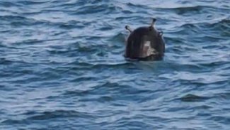 İstanbul Boğazı'da mayın alarmı: Boğaz gemi geçişine kapatıldı