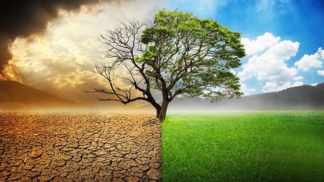 Bilim insanları: Küresel ısınmayı durdurmak için "ya şimdi ya asla" diyor