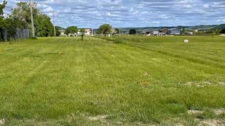 Kanada'da kilise okulunda 14 yeni kayıt dışı mezar bulundu