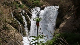 Uludere’nin saklı cenneti