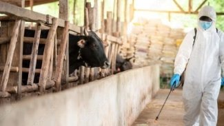 Korkutan gelişme: Erbil’de bir kişide 'Hemorajik ateş' vakası tespit edildi