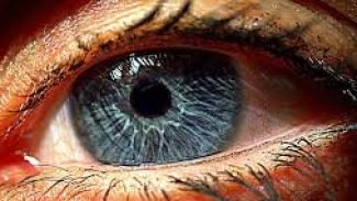 Bilim insanlarının mucizevi keşfiyle ölümü yenme ihtimali doğdu