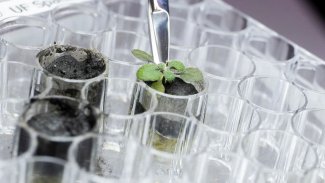  Ay toprağında tarım