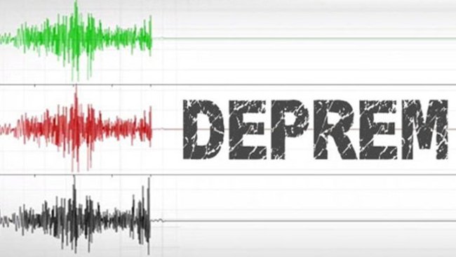 Google'ın sistemi İzmir'dekii depremi önceden haber verdi.