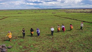 Karacadağ pirinç ekimine kadın eli değdi