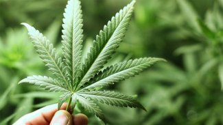 Kars'ta rütbeli askerin aracında 15 kilo esrar yakalandı