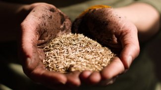 Ukrayna’daki savaş dünya çapında açlığa neden olabilir