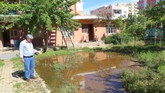 Kızıltepe'li  vatandaş ; 'Kayyum Müftü'ye, Müftü İmam'a, İmam Allah'a havale etti'