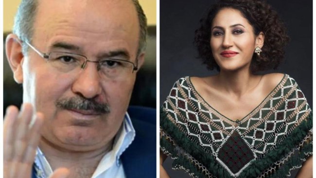 AKP'li Çelik'ten Aynur Doğan açıklaması: Çok yanlış...