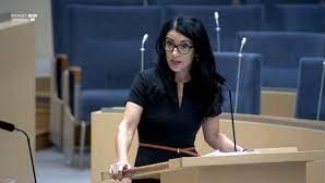 İsveç Kürt Milletvekili: Türkiye hem Suriye hem de Irak'taki Kürtler ile savaş halinde
