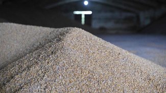 Ukrayna Tahılına Savaş Gemili Koruma!