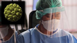 Dünyada maymun çiçeği alarmı