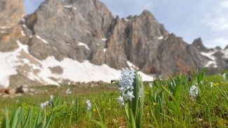 Dersim'in Sarıgül Yaylası doğaseverlerin yeni rotası oldu