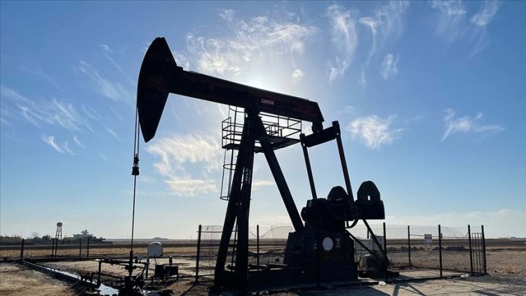 TPAO'ya Mardin ve Şırnak'ta petrol arama ruhsatı verildi