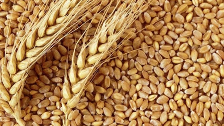 Kürdistan Bölgesi Başkanlığı'ndan Kriz Önlemi