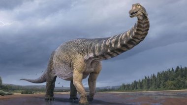 Avrupa'nın 'en büyük' kara dinozoru fosili İngiltere'de keşfedildi