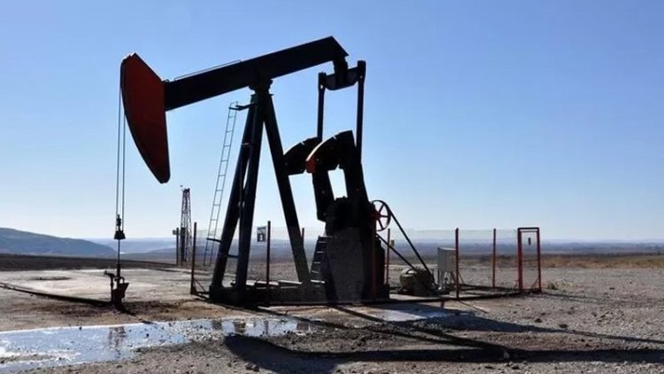 TPAO, 3 Kürt ildeki petrol arama ruhsatının süresini uzattı
