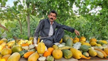 Başarılı Kürt çiftçi Azad Mihemed, 45 farklı kabak türü ekti