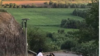 DİERG: Bölgenin Turistikleşmesi Arafında At Çalıştırılması Sorunu