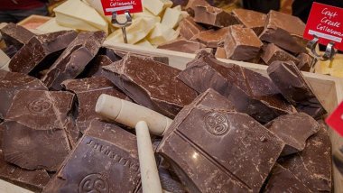 Yeni bir salmonella bakterisi krizi