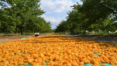 Malatya'da mevsimlik Kürt işçilere saldırı
