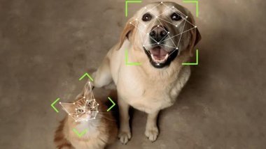  Ev Hayvanlarına Yüz Tanıma Teknolojisi