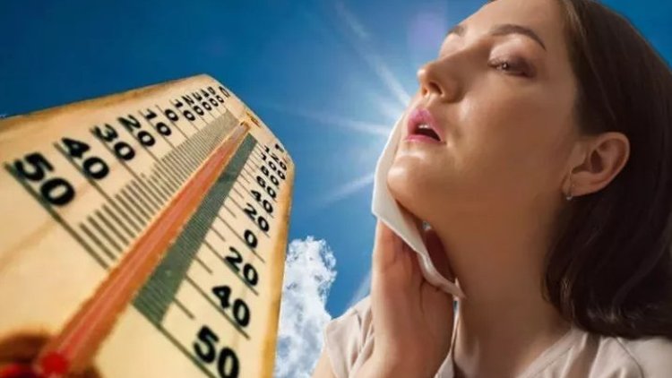 Aşırı sıcaklar Portekiz'de 1065 can aldı