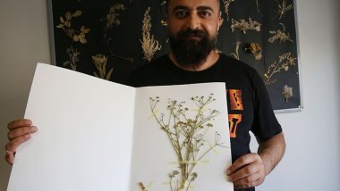 İspiriz Dağı'nda yeni bir bitki türü keşfedildi